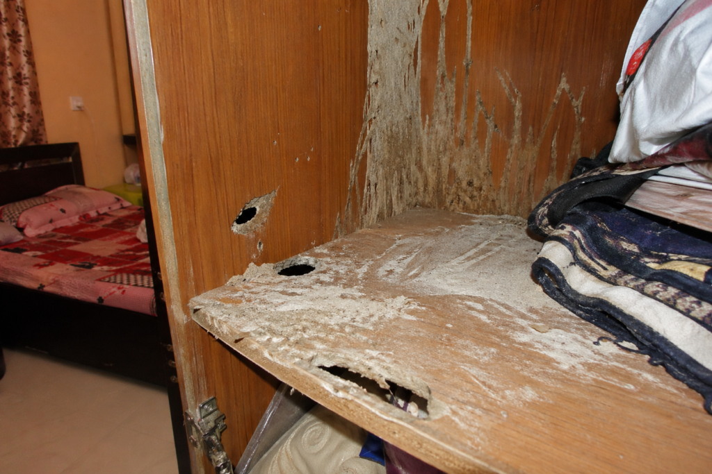 wardrobe termite problem Hyderabad - damaged wooden wardrobe with termite attack signs
